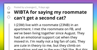 Man Accepts For His Roommate To Get An Extra Cat, Regrets His Decisions Later On