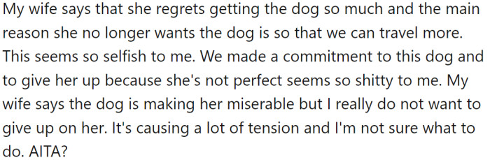 They have been trying different approaches to help the dog, but so far, they have not seen any improvement. OP's wife says that she regrets getting the dog and wants to rehome her so that they can travel more.