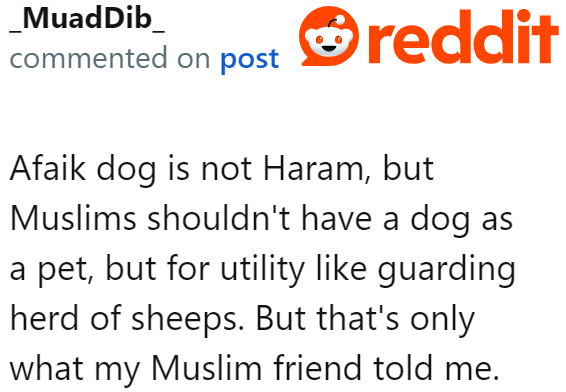 Muslims can own a dog, given that it has a purpose. Otherwise, it's forbidden.