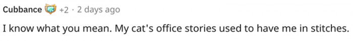 8. We’ll accommodate the cats this time and this time only