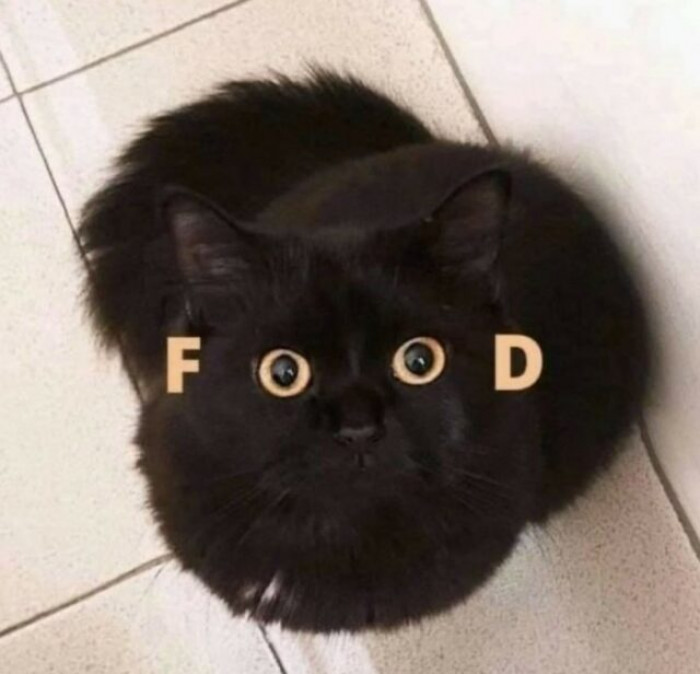 27. Is that food I see?