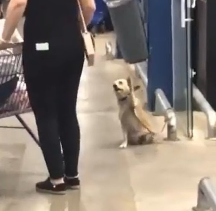 Everyone’s Favorite Staff