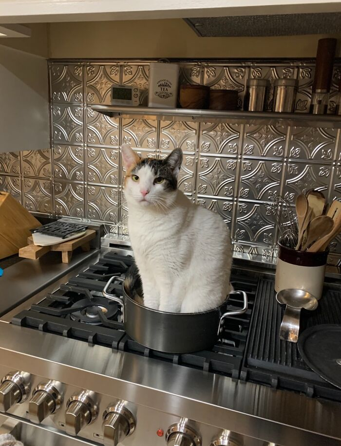 7. “No Soup For You” - Piper, Probably