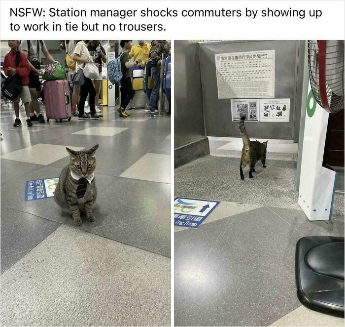 "Station Manager"