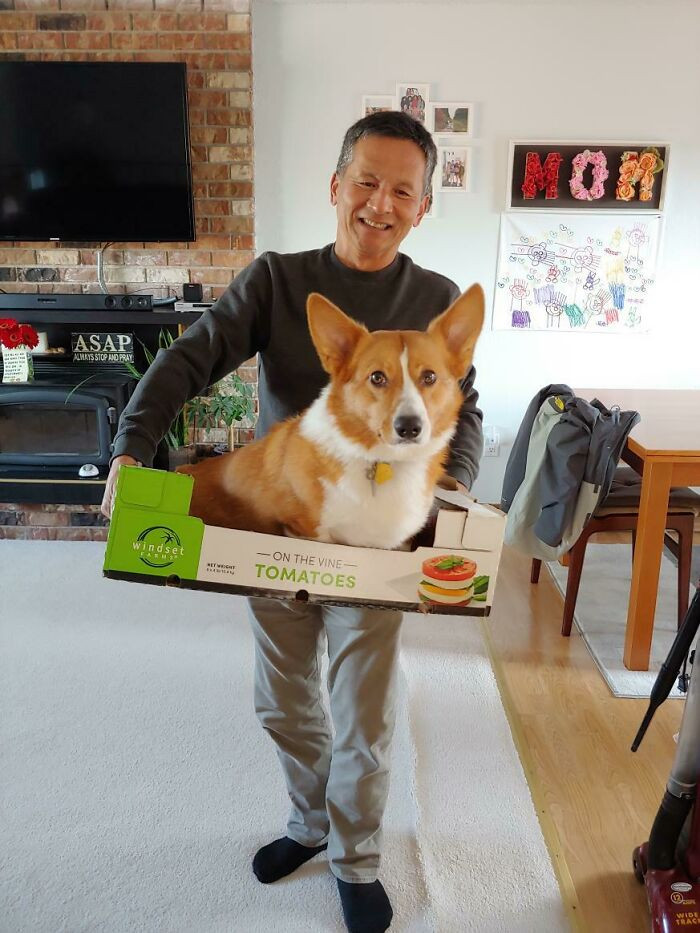 "My Dad: Im A Mailman, I Hate Dogs, I Never Want A Dog... Also My Dad: Wow Charlie Is So Cute Can I Carry Him In This Box"