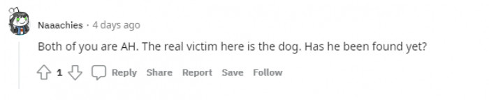 "The real victim here is the dog."