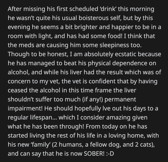 Digger had a rough start in life, but OP's intervention will allow him to live out the rest of it as a happy and sober dog!