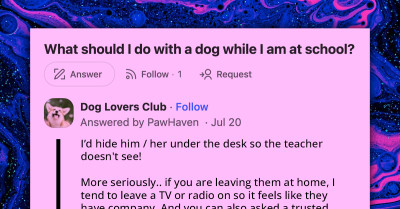 Online Community Offers Valuable Solutions For Managing A Dog While Attending School