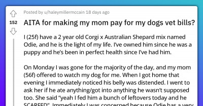 Woman Wants Her Mom To Pay For Vet Bills After Accusing Her Of Making Her Dog Sick