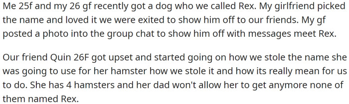 OP and her girlfriend recently got a dog, which they named Rex. OP's girlfriend picked the name and was excited to show her off to their friends; she posted a photo in the group chat to introduce Rex.