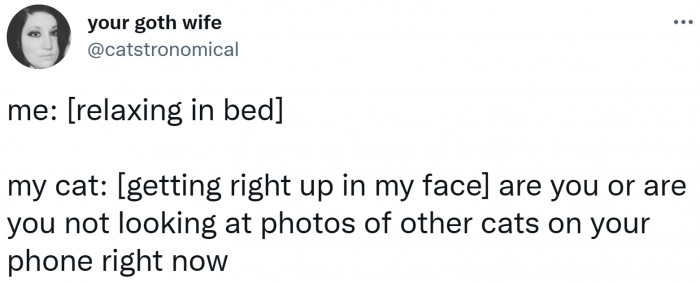 15. "Don't you ever dare"