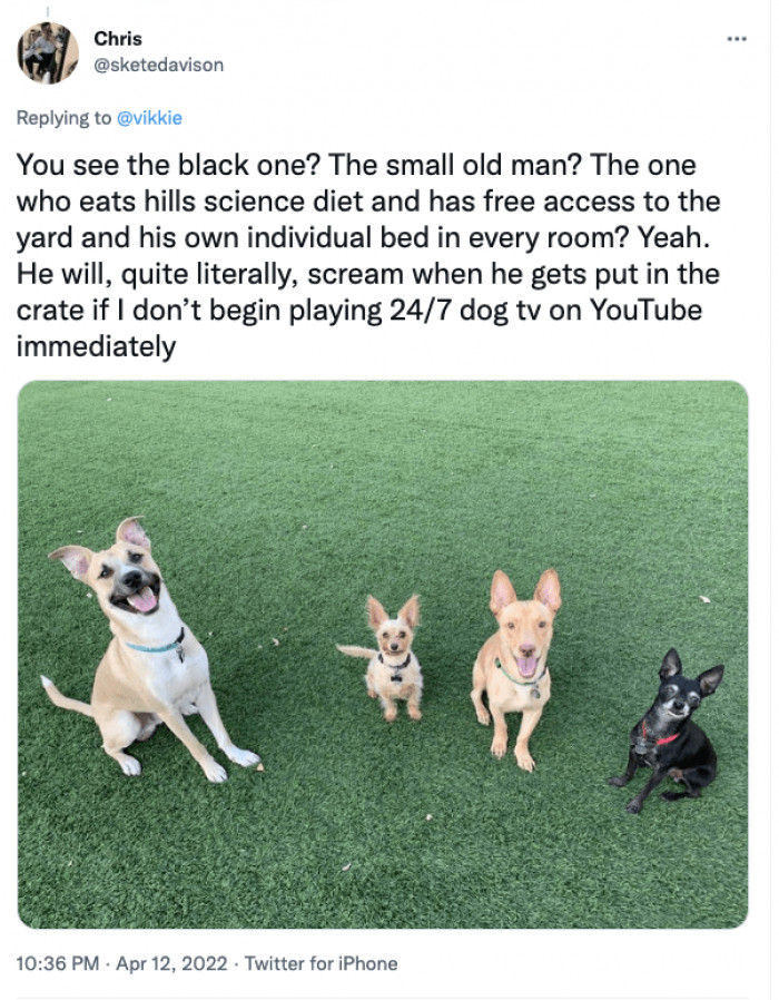 13. The black one screams when he gets put in the crate