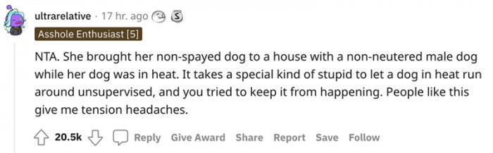 A Special Kind of Stupid