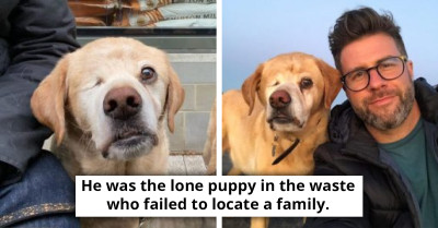 One-Eyed Dog Receives a Negative Comment from a Stranger; Owner Fights Back by Making a Post Online That Went Viral