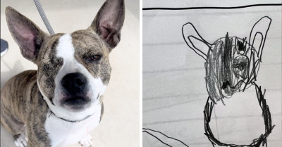 Second Graders Draw Shelter Dogs To Help Them Find Their Forever Homes