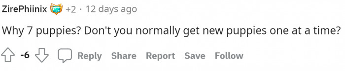 People did have a few questions about why he was taking care of seven puppies. OP's answer is in the comment below.