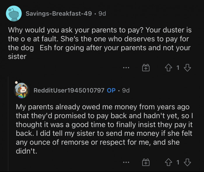 Here's how the Reddit community reacted to u/RedditUser1945010797's post: