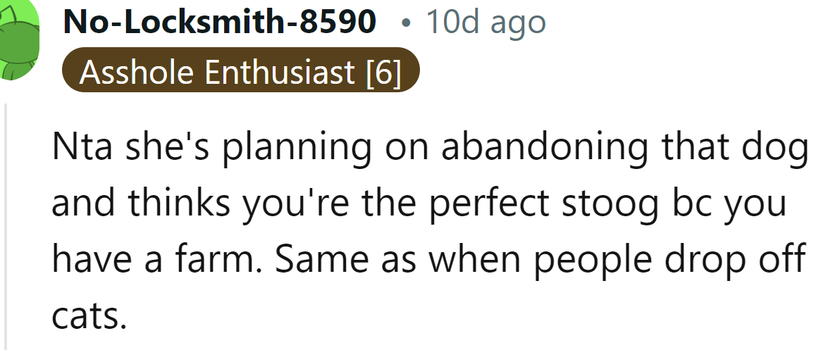Another Redditor also suspected that the friend wanted to abandon the dog