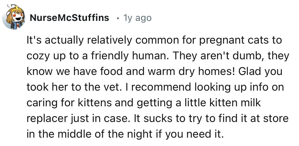“It's actually relatively common for pregnant cats to cozy up to a friendly human. They aren't dumb; they know we have food and warm, dry homes!”