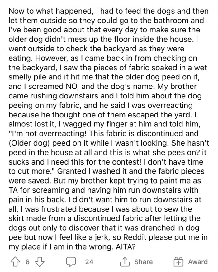 The OP was making her skirt out of a fabric that was discontinued from the store. She had layed everything out on the floor when she got up to feed the dogs and take them outside to the bathroom.