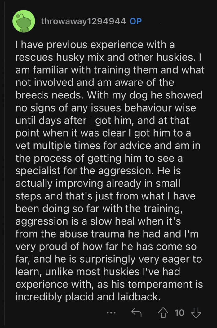 OP has previous experience with rescues and is more than capable of taking care of her current dog.