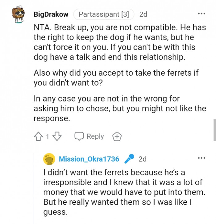 Why did you agree to take the ferrets if you didn't want to?