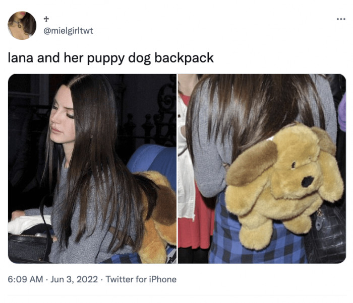 16. Would you consider getting one?