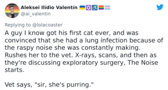 Poor guy doesn't know about cats.