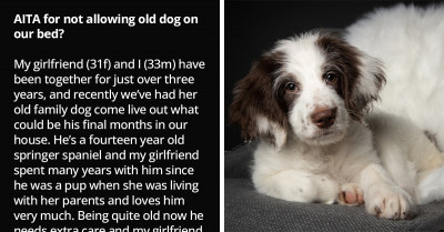 Redditor Won't Allow His GF's Elderly Dog Into Bed Because He Has Frequent Accidents, GF Not Happy About It