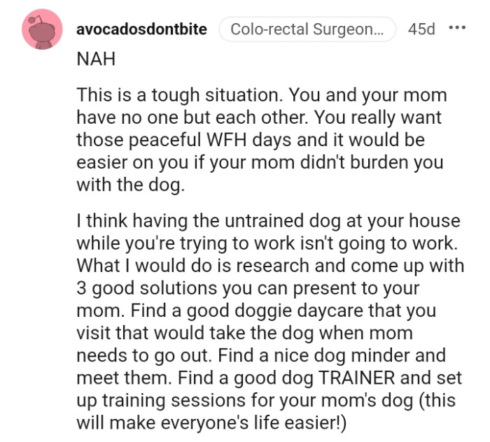 It would be easier on the OP if her mom didn't burden her with the dog