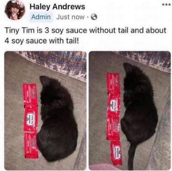 18. A New Measurement Has Been Discovered.