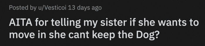 The dog chews on furniture and barks a lot, which OP believes will be a problem.