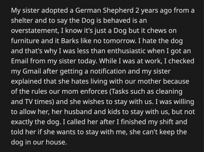 OP's sister got annoyed and told OP that the dog was her only comfort, and her kids adore it.