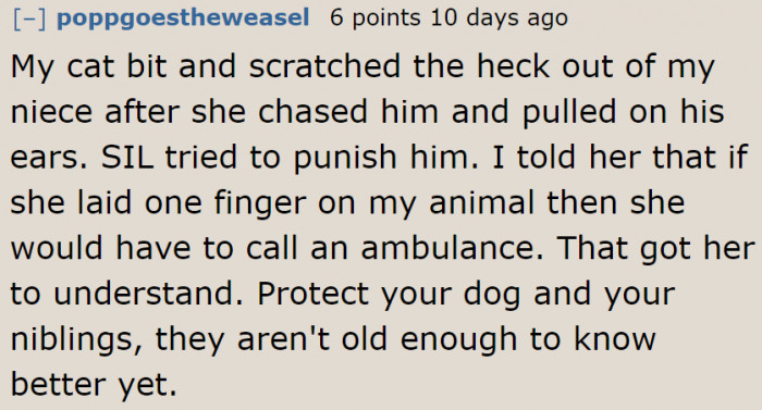 It's the Animals Who Get the Blame When an Animal Hurts Someone. It's Always Important to Be Strict About Who Approaches One's Pets.