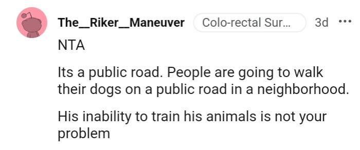 17. People walk their dogs on public roads