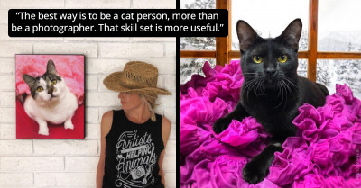 To Help Shelter Cats Find Their Forever Homes, This Photographer Volunteers To Take Glamour Shots Of Them