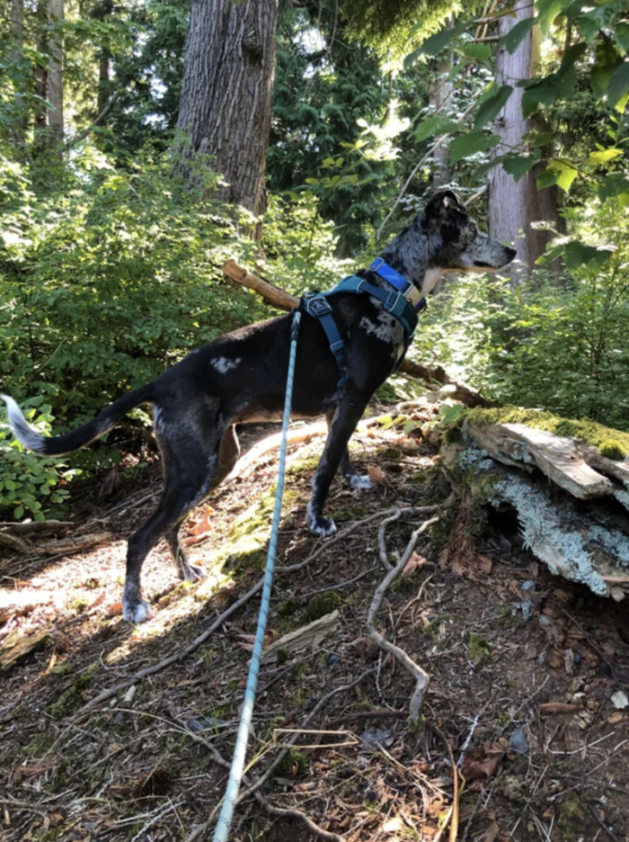 She truly has blossomed