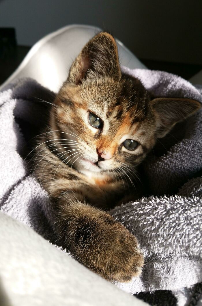 24. Morning's Sorrow