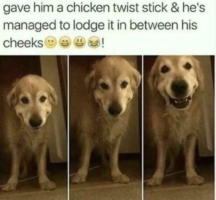 11. Atleast he looks permanently happy now