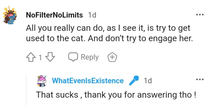 The OP has no option but to get used to the cat