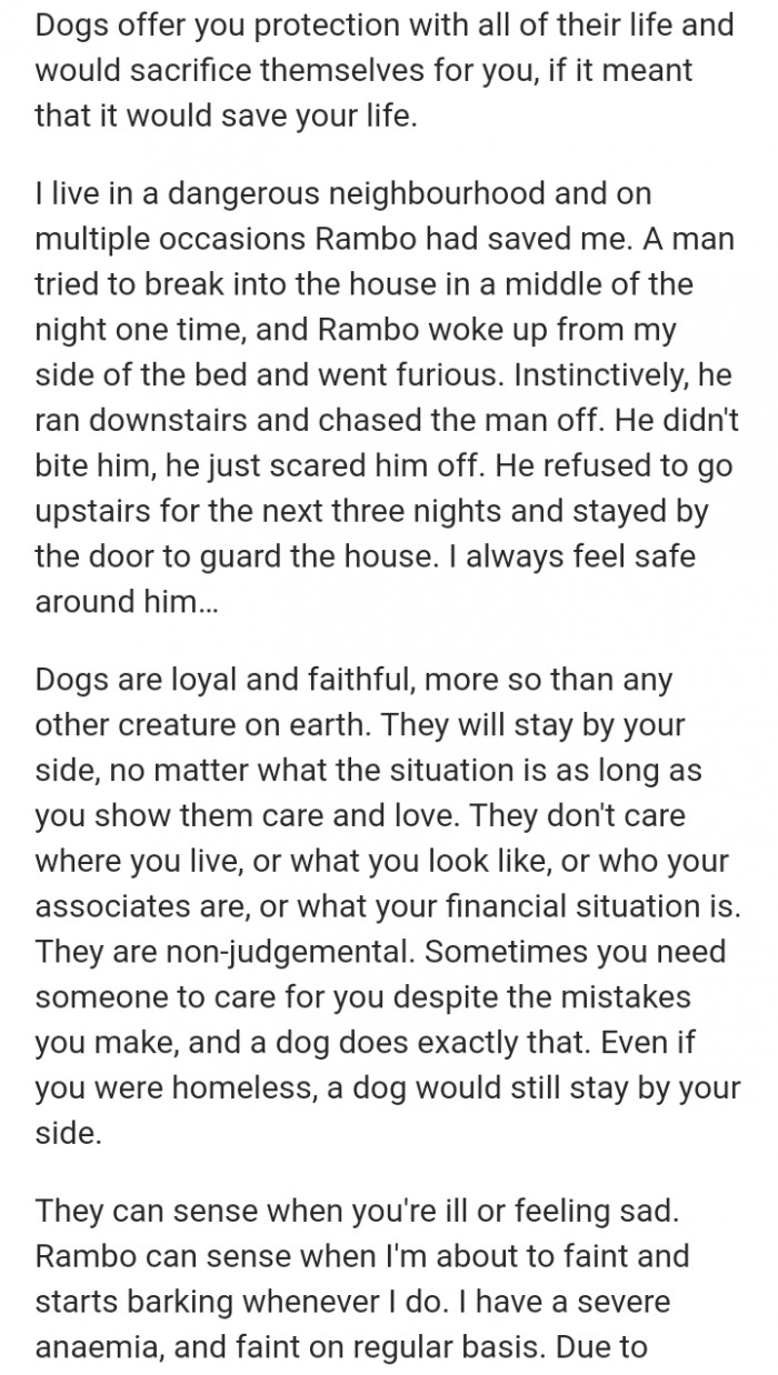 3. Dogs offer protection
