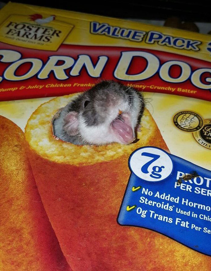 15. This is so super cute