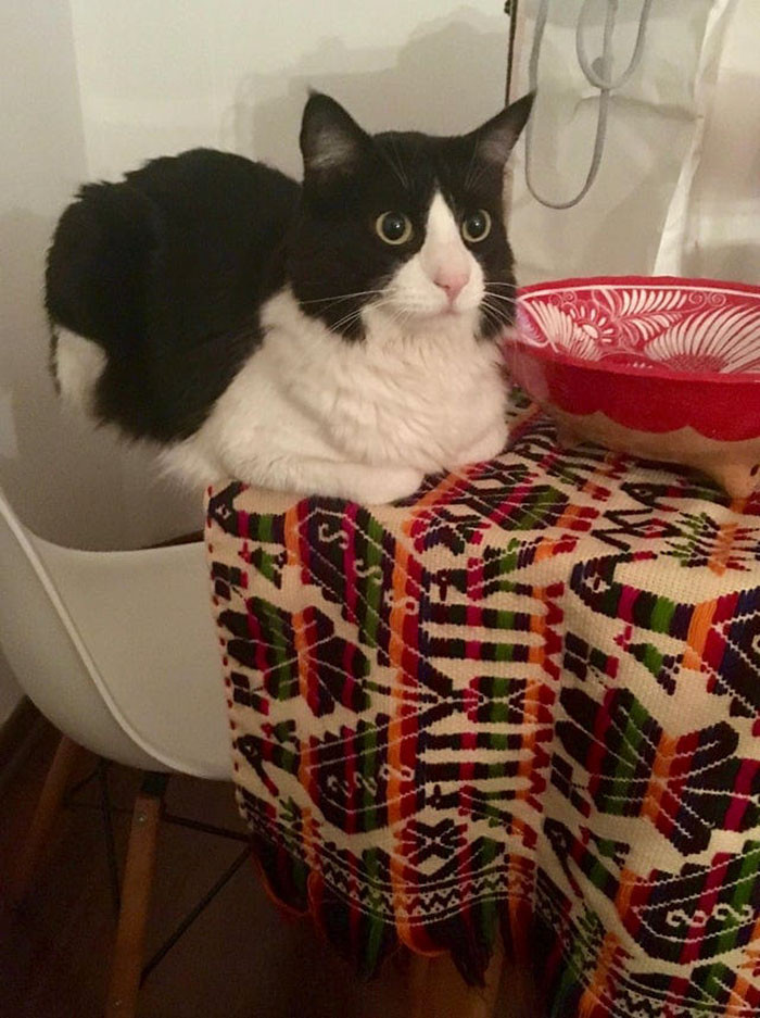 1. No scientist can explain this