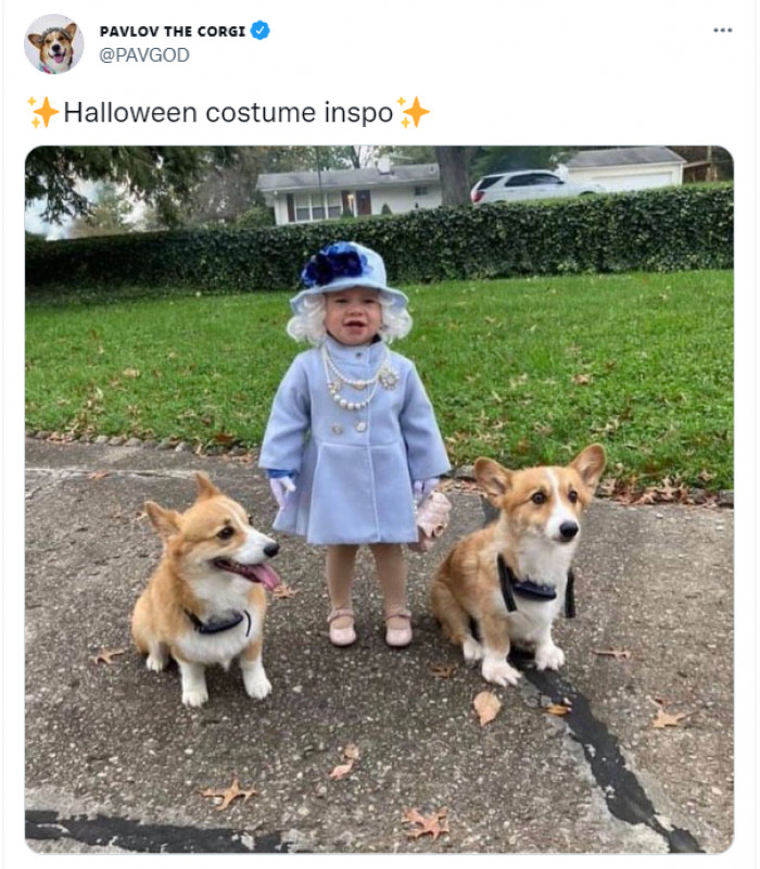 1. THIS HALLOWEEN COSTUME