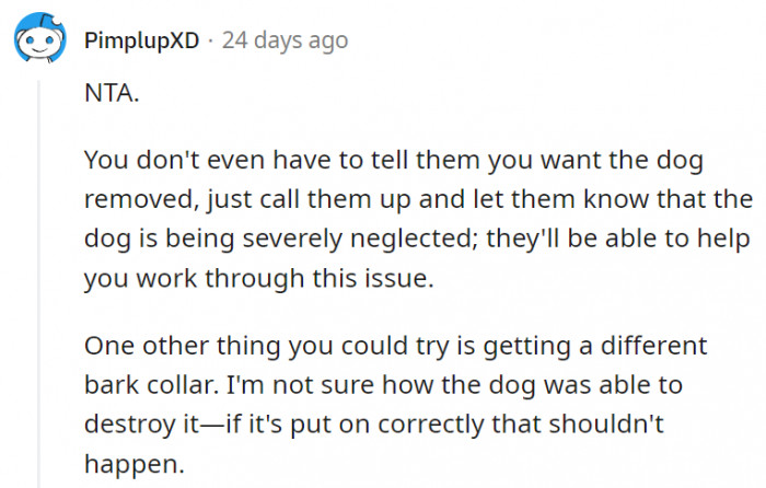 4. Do it for the sake of the poor dog