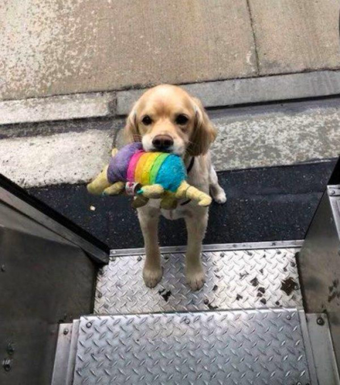 1. "The Perks of Being a UPS Driver"