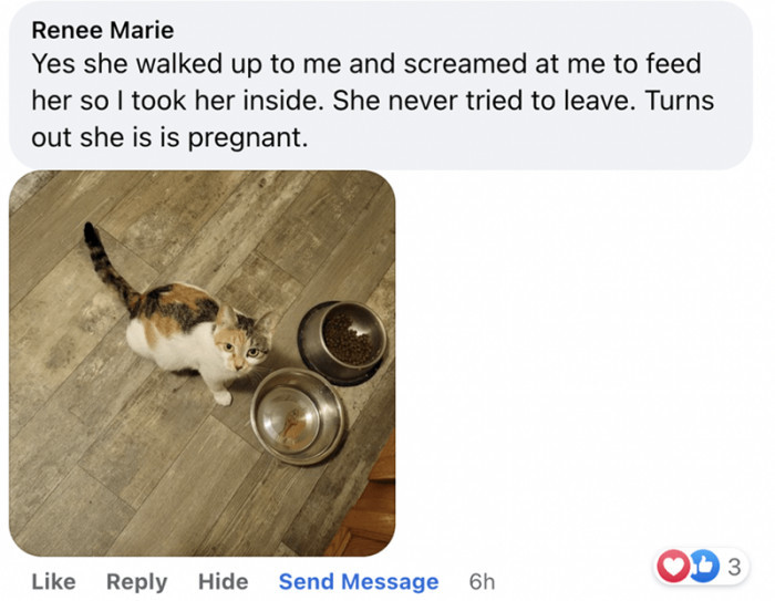 6. “I need food, and I need it now.”