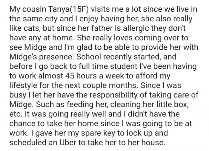 I let my cousin take care of Midge