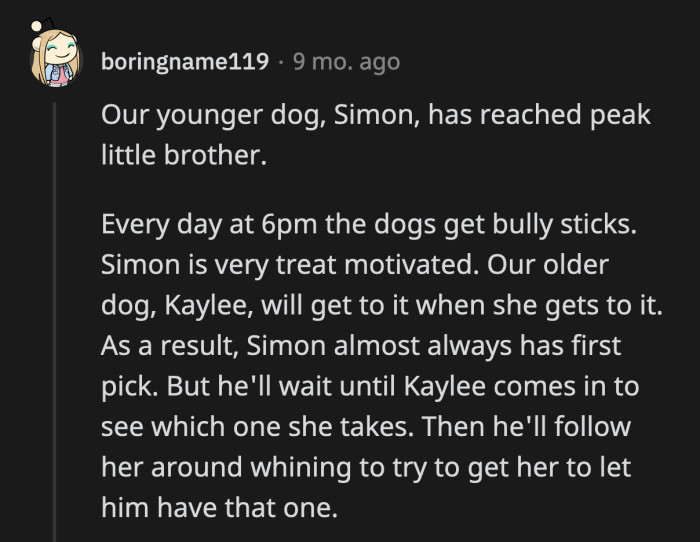 29. Simon clearly worships his big sister