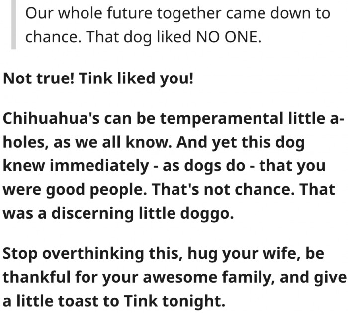 12. Chihuahuas may be temperamental, but they are good at discerning.